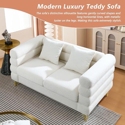 mikibama Modern Teddy Loveseat Sofa, 60 Inch Sectional Sofa Couch, Luxury 2 - Image 6
