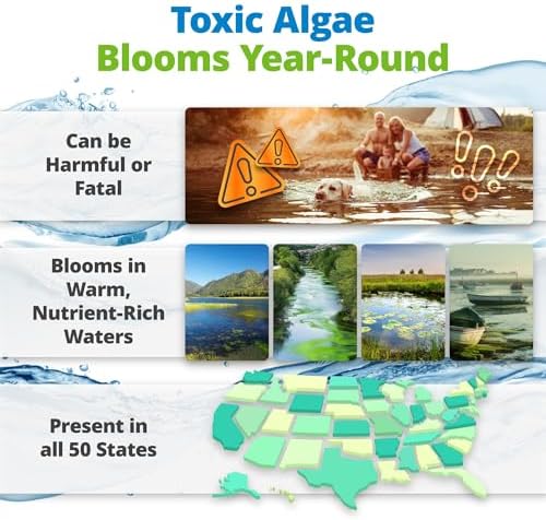 5Strands Blue-Green Algae Water Test Kit - Image 2