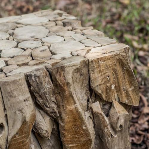 Uttermost Teak Root - Image 7