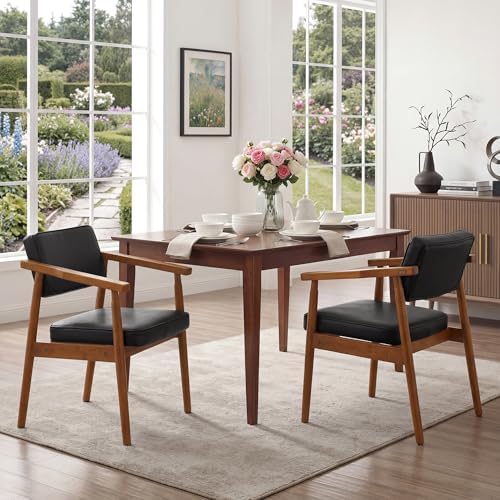 LSSPAID Mid Century Dining Chairs Set of 2, Modern Kitchen Chairs by LSSPAID