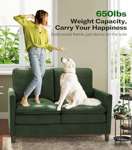 Welzona 3-Layers Cloud Loveseat Sofa, Teddy Small Sofa - Image 5