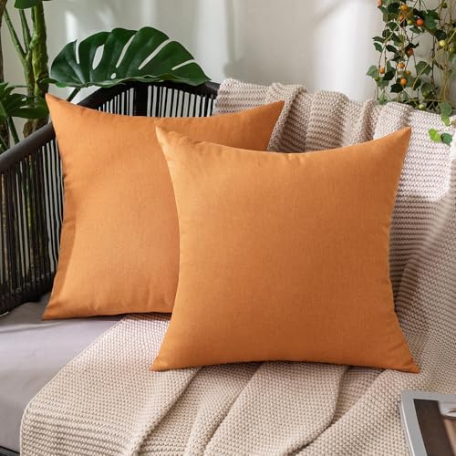 MIULEE Decorative Outdoor Pillow Covers Waterproof 20x20 Brown by MIULEE