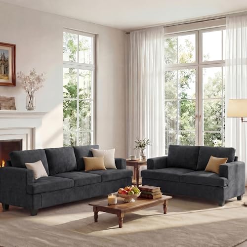 Apicizon Loveseat & 3 Seater Sofa Sets, 2 Piece Deep Seat Sleeper Sofa by APICIZON