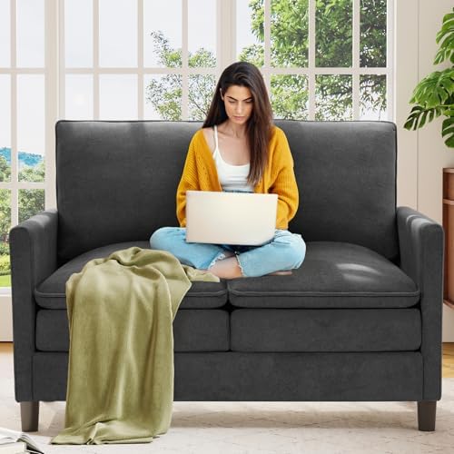 Welzona 3-Layers Cloud Loveseat Sofa, Teddy Small Sofa by WelzonaDirect