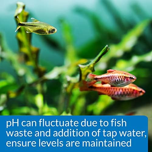 API PH TEST KIT 250-Test Freshwater Aquarium Water pH Test Kit, 4 Piece Set - Image 5