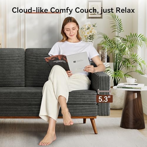 Vipbear 65.4" Loveseat Sofa, Mid-Century Modern Small Couches - Image 6
