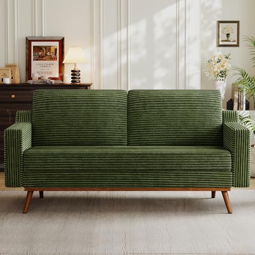 Vipbear 65.4" Loveseat Sofa, Mid-Century Modern Small Couches by VipbearLiving