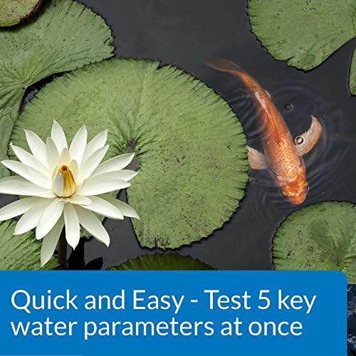 API POND 5 IN 1 POND TEST STRIPS Pond Water Test Strips 25-Count - Image 4