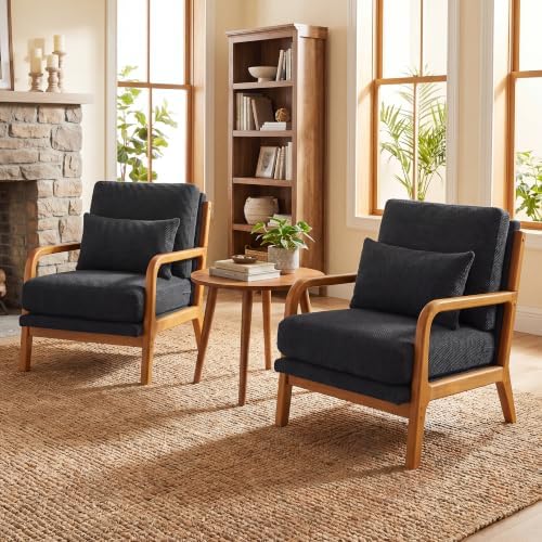 Mid Century Modern Accent Chairs Set of 2, Armchair by JIASTING