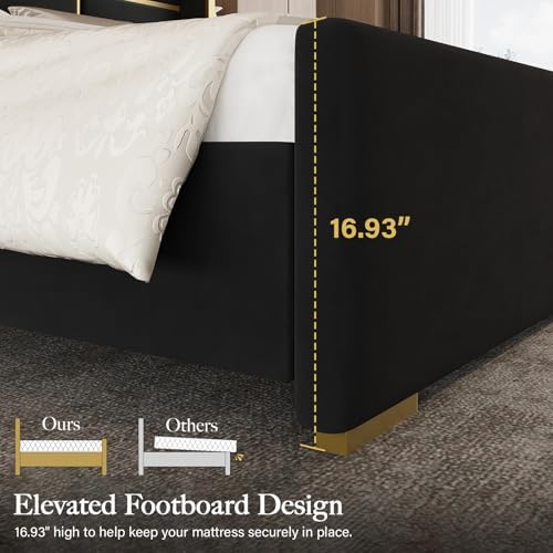 King Bed Frame and Gold Trim Headboard, Upholstered Bed - Image 5