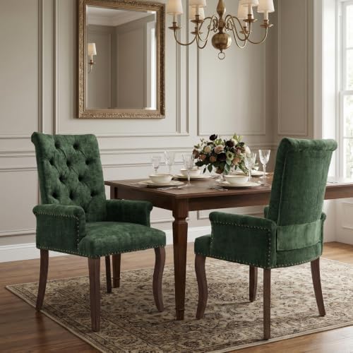 Dining Chairs Set of 2, Mid Century Modern Dining Room Chairs by Mirgata
