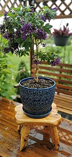 Natural Tree Stump Stool Live Edge Cedar Wood Plant Stand, Garden Bench - Image 3