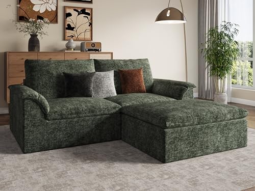 EASE MOOSE Boneless Couches for Living Room, Loveseat by EASEMOOSE