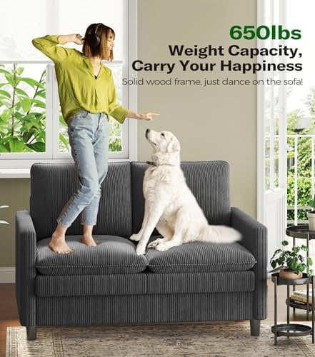 Welzona 3-Layers Cloud Loveseat Sofa, Small Sofa - Image 5