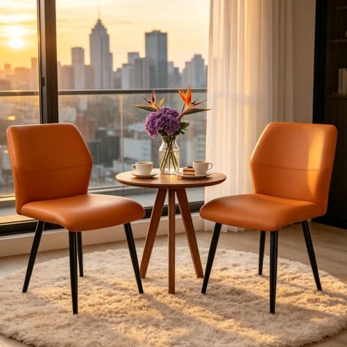 Leather Dining Chairs Set of 2, Modern Kitchen Chairs by LightdotLighting