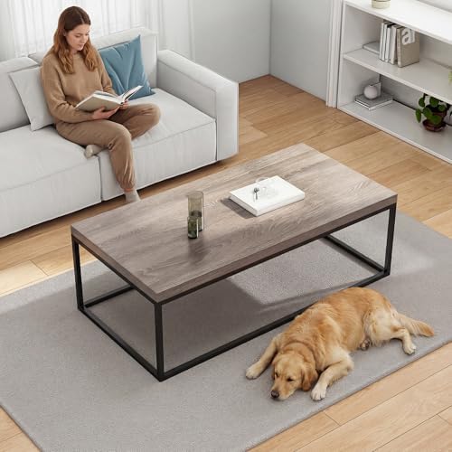 CENSI 47" Grey Wash Oak Coffee Table/Center Table, Large Size - Image 3