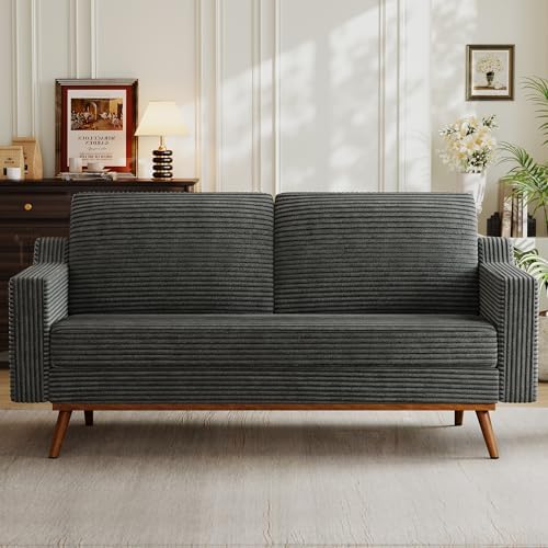 Vipbear 65.4" Loveseat Sofa, Mid-Century Modern Small Couches by VipbearLiving