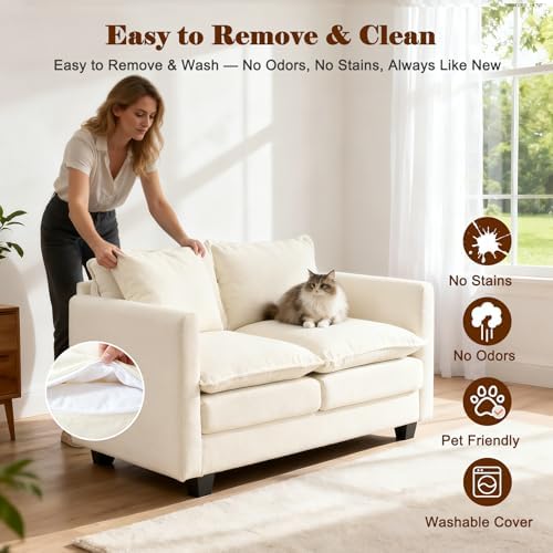 50'' Loveseat Sofa Cloud Sofa Couch, Modern Loveseats 2 Seat Couch 27" Deep Seat - Image 6