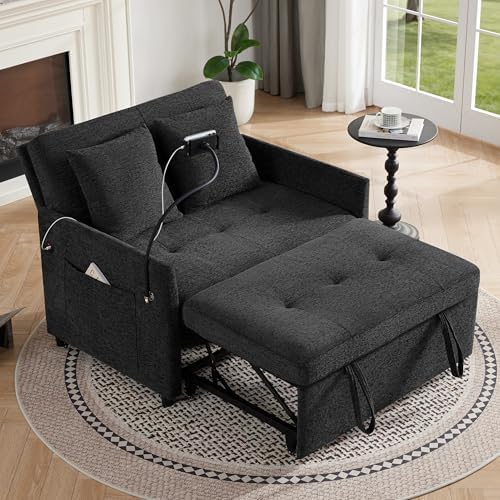 Loveseat Sleeper Sofa Convertible Sofa Bed, Pull Out Couch by Unknown