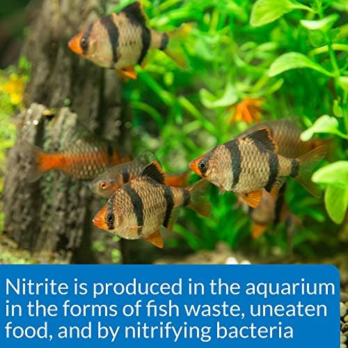 API NITRITE TEST KIT 180-Test Freshwater and Saltwater Aquarium Test Kit - Image 6