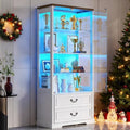 TAGELIER Display Cabinet with Glass Doors and LED Lights, 2 Drawers by TAGELIER
