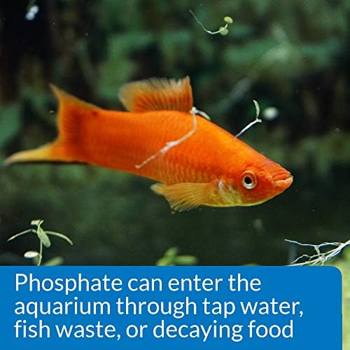 API Phosphate Test Kit For Freshwater And Saltwater, 64 OUNCES - Image 6