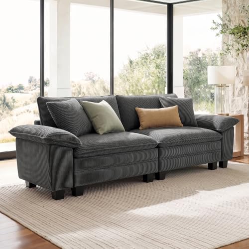 SUNSHINE VALLEY 87.5" Loveseat Cloud Couch Modular Sofa, Corduroy Grey by SUNSHINEVALLEY