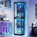 AMERLIFE 18-Inch RGB Open Display Cabinet by AMERLIFE
