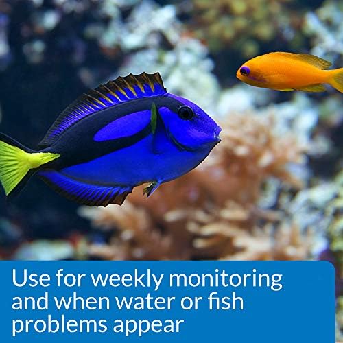 API Saltwater Master Test Kit 550-Test Saltwater Aquarium Water Test Kit - Image 5