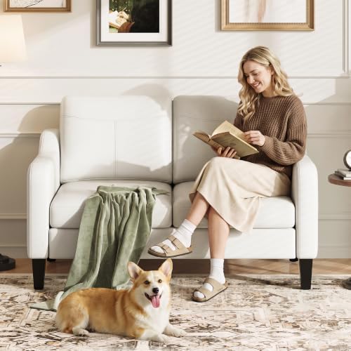 MALOL 51" Leather Loveseat Sofa - Image 2