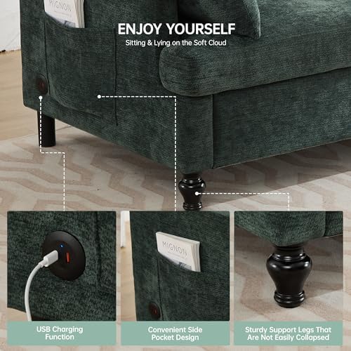 68.9” Loveseat Sofa Couch, Modern Comfy 2 Seat Chenille Couches, Spring - Image 5