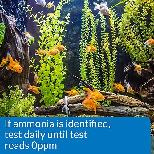 API AMMONIA TEST STRIPS Freshwater and Saltwater Aquarium Water Test Strips - Image 4