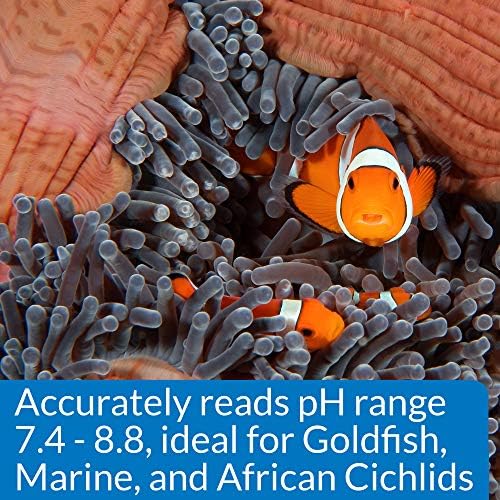 API High Range pH Test Kit 160-Test Freshwater and Saltwater Aquarium Water Kit - Image 6