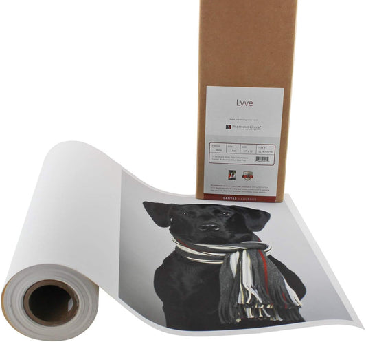 Premium Lyve Matte Canvas Paper Perfect For Use on Professional Makes and Models of Epson, Canon and HP printers preferred by Professionals. 19 mil textured Canvas offered in a 64 inch by 40 ft roll