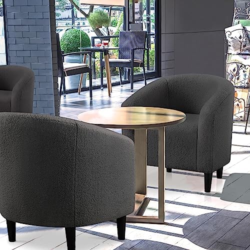 Topeakmart Sherpa Accent Chairs Set of 2 - Image 4