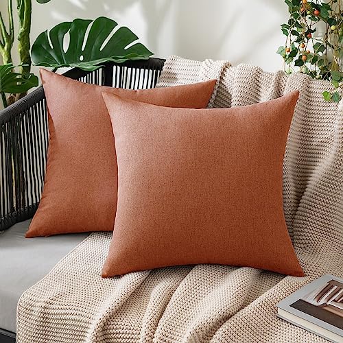 MIULEE Decorative Outdoor Pillow Covers Fall 20x20 Rust by MIULEE