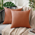MIULEE Decorative Outdoor Pillow Covers Fall 20x20 Rust by MIULEE
