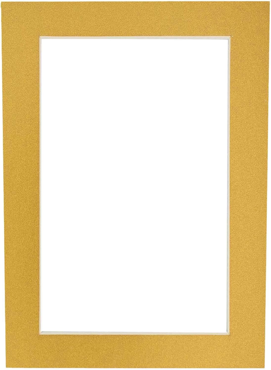 8x10 Mat Bevel Cut for 5x8 Photos - Acid Free Metallic Gold Precut Matboard With Backing Board and Crystal Clear, Self Seal Photo Mat Bag - For Pictures, Photos, Framing - 4-ply Thickness