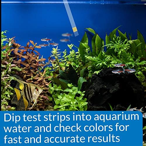 API AMMONIA TEST STRIPS Freshwater and Saltwater Aquarium Water Test Strips - Image 5