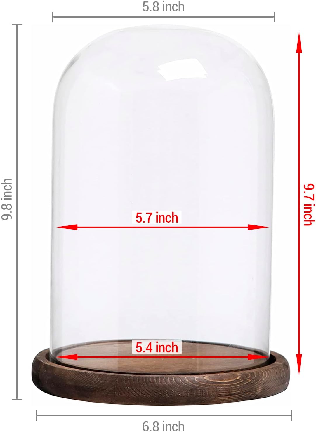 MyGift The Bell Jar Glass Cloche with Rustic Wood Base, 10 Inch Tall Clear Decorative Glass Dome Display for Plants, Curios, Keepsakes, Heirlooms