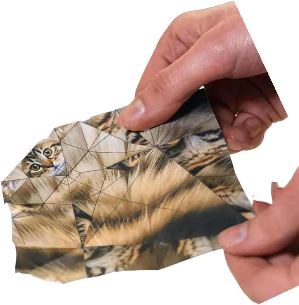 DIY Paper Cats Origami Kit - 50/30 Sheets DIY Paper Origami to Fold Your Own Cute Cat/Dog/Dino Figures - Perfect Desk Origami Cats Decoration & Creative Gift for Kids, Adults & Cat Lovers (Cat)