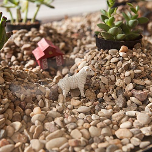 SEI Furniture Metal Terrarium Fish Display Coffee Table - Image 6