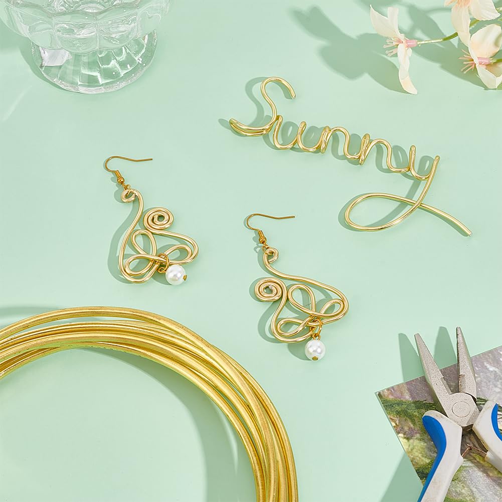 BENECREAT 9.84 Feet Bare Solid Brass Wire, 6 Gauge Round Soft Brass Wire Pure Brass Wire for Jewelry Making Craft Gem Wrapping