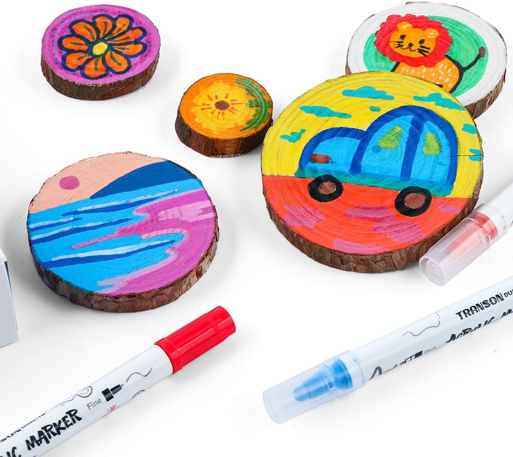 TRANSON 24 Color Bold and Fine Dual-tip Acrylic Paint Pen Set for Canvas Rock Wood Leather Ceramic DIY Painting