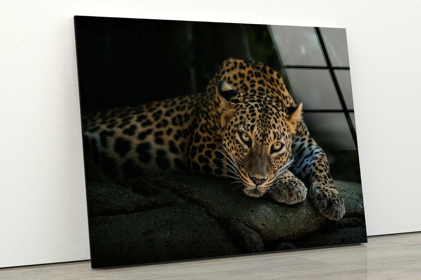 My Photostation.com Round 24'' Fierce Leopard Glass Wall ArtTempered Glass Printing Wall Decor Large Wall Art Wall Hangings
