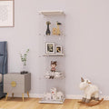 LFT HUIMEI2Y Glass Display Cabinet by LFTHUIMEI2Y
