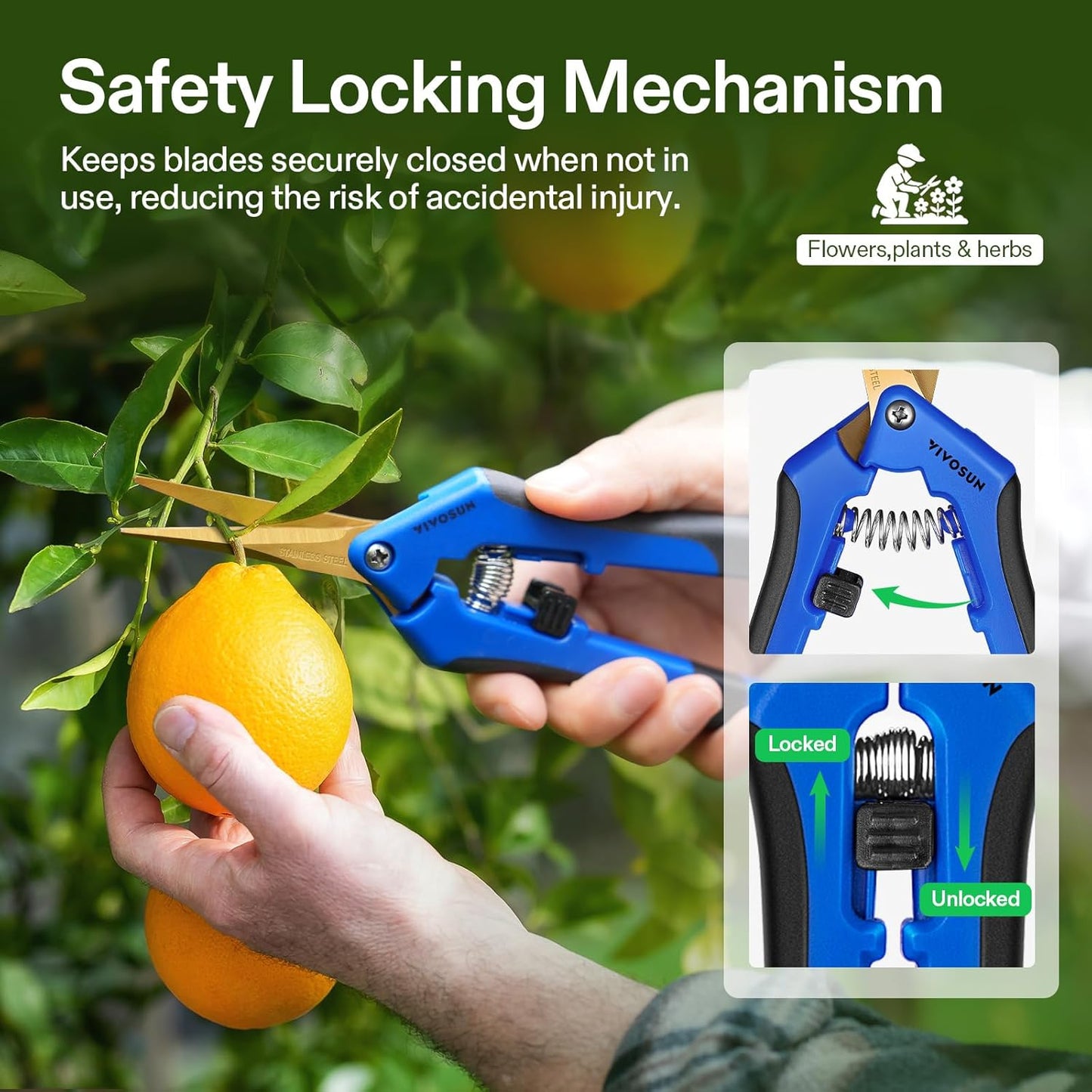 VIVOSUN 3-Pack 6.5 Inch Gardening Scissors Hand Pruner Pruning Shear with Titanium Coated Curved Precision Blades