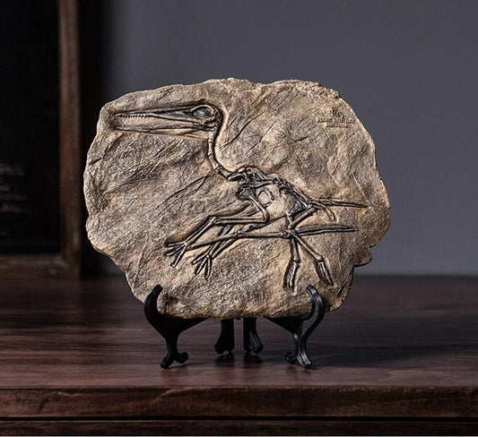 XINDAM Resin Dinosaur Fossil Statue Model Simulated Skeleton Home Office Display Decorative Craft Box Decoration (Style 3)