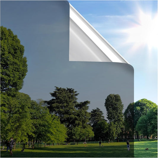 rabbitgoo Window Privacy Film One Way Window Tint for Home, Removable Reflective Heat Sun Blocking Anti UV Glass Door Covering, Mirror Tinting Film House Office, 29.5 in X 6.5 Feet, Black Silver