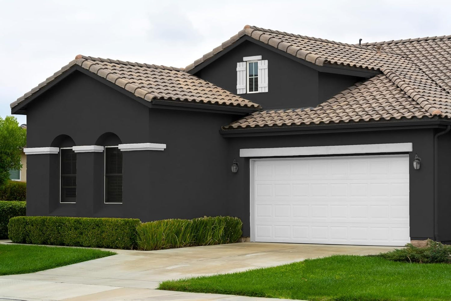 EVOLVE Paint & Primer: Environment-friendly, Low Sheen with One-coat Coverage for Interior & Exterior surfaces (Black Iron, 1-Gallon)